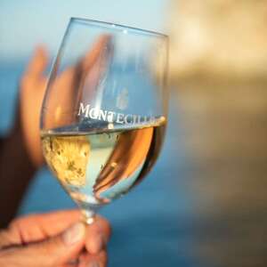 osborne Montecillo Singladuras Albariño 2023 En oferta