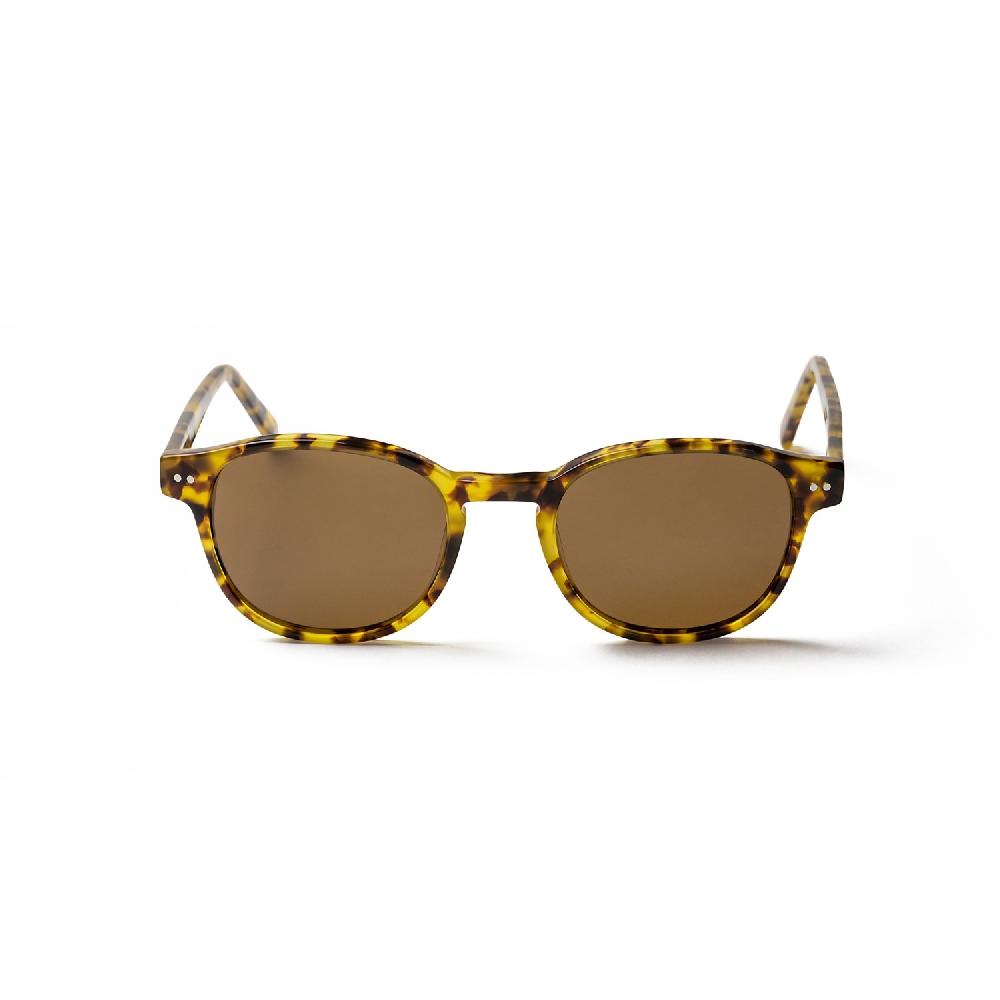 sunpers sunglasses PAXTON DEMI BROWN FRAME AND BROWN LENS | SUNPERS SUNGLASSES Rebajas de fábrica