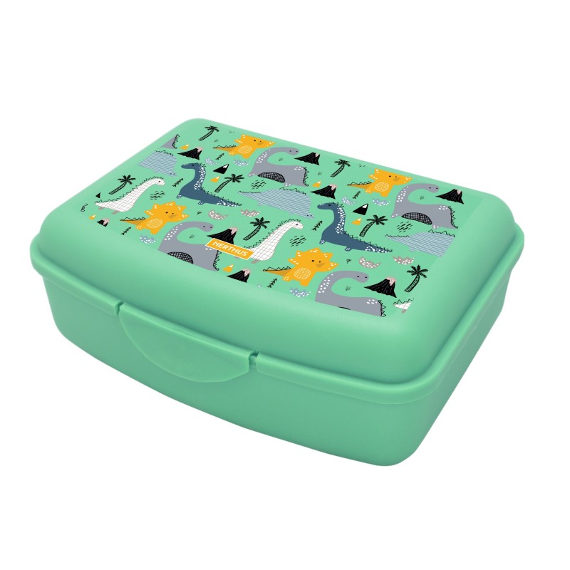 vin bouquet Lunch kids box dinos