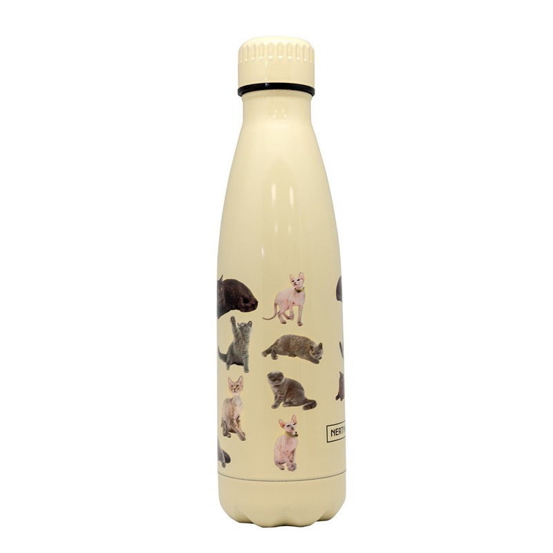 vin bouquet Botella Gatos AMARILLA 500ml doble pared