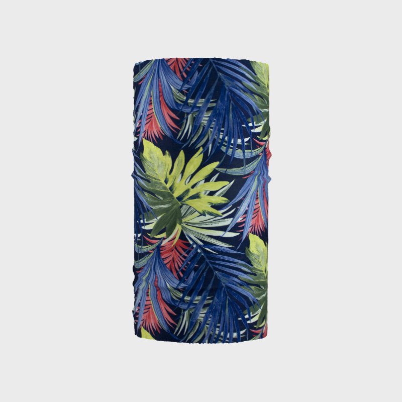 wind x treme TROPICAL Solo hoy
