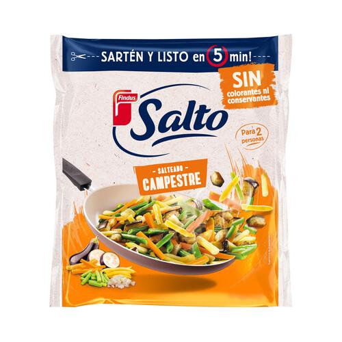 Alcampo SALTO Salteado de verduras campestres sin conservantes ni colorantes de Findus 500 g